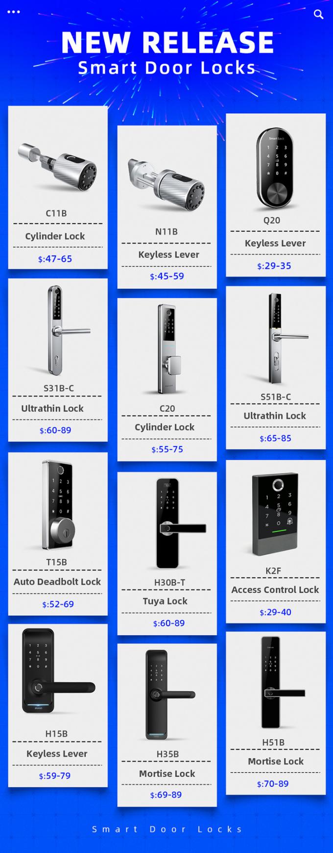 Ttlock App Wifi Smart Handle Password Door Lock with Battery 6V 6